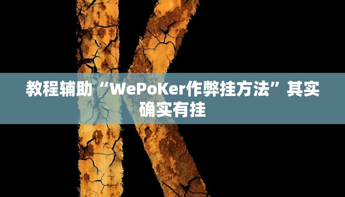 开挂辅助工具“德州局wepoker作弊挂,难怪经常输&原来有猫腻