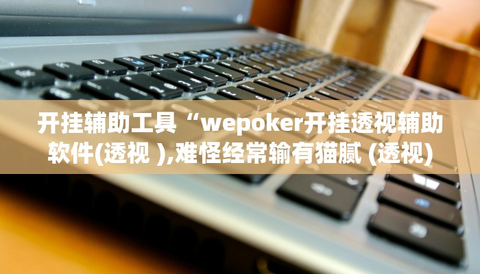开挂辅助工具“wepoker开挂透视辅助软件(透视 ),难怪经常输有猫腻 (透视)