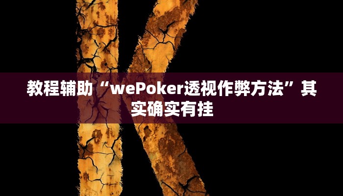 教程辅助“wePoker透视作弊方法”其实确实有挂
