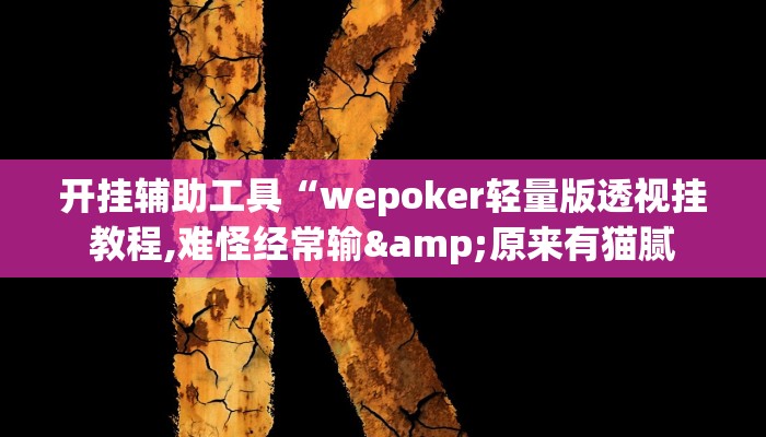 开挂辅助工具“wepoker轻量版透视挂教程,难怪经常输&原来有猫腻