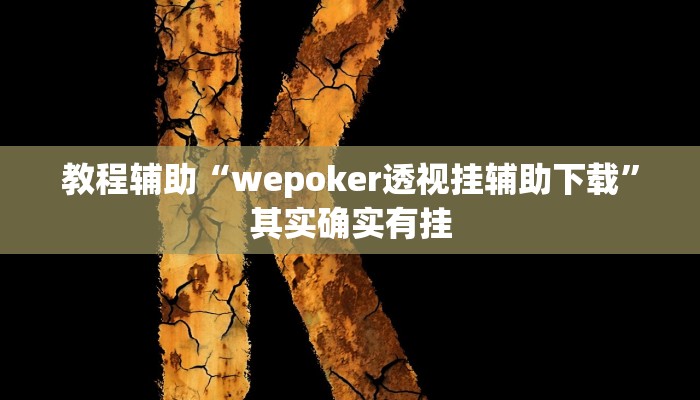 玩家辅助神器:“(WePoKer)透视挂作弊挂开挂”其实确实有挂