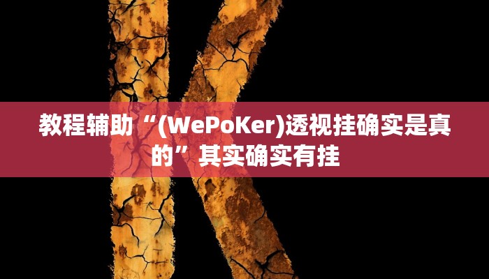教程辅助“(WePoKer)透视挂确实是真的”其实确实有挂