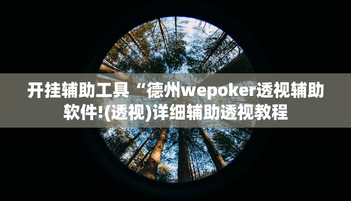 开挂辅助工具“wepoker透视挂作弊,难怪经常输&原来有猫腻