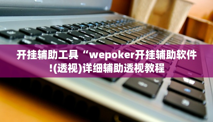 开挂辅助工具“wepoker开挂辅助软件!(透视)详细辅助透视教程