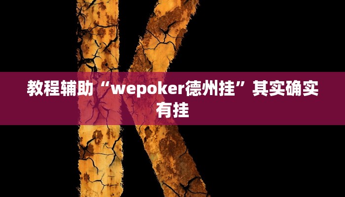 教程辅助“wepoker德州挂”其实确实有挂