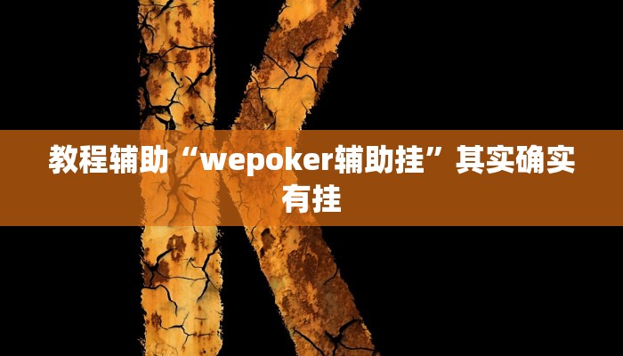 教程辅助“wepoker辅助挂”其实确实有挂