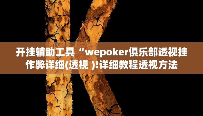 开挂辅助工具“wepoker俱乐部透视挂作弊详细(透视 )!详细教程透视方法