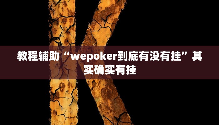 教程辅助“wepoker到底有没有挂”其实确实有挂