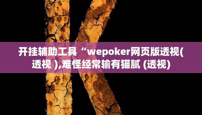 开挂辅助工具“wepoker网页版透视(透视 ),难怪经常输有猫腻 (透视)
