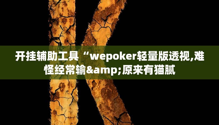 开挂辅助工具“wepoker轻量版透视,难怪经常输&原来有猫腻
