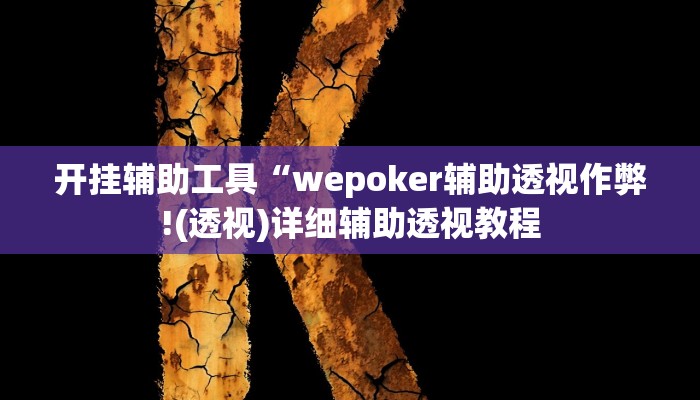 开挂辅助工具“wepoker开挂透视辅助(作弊)辅助透视教程”