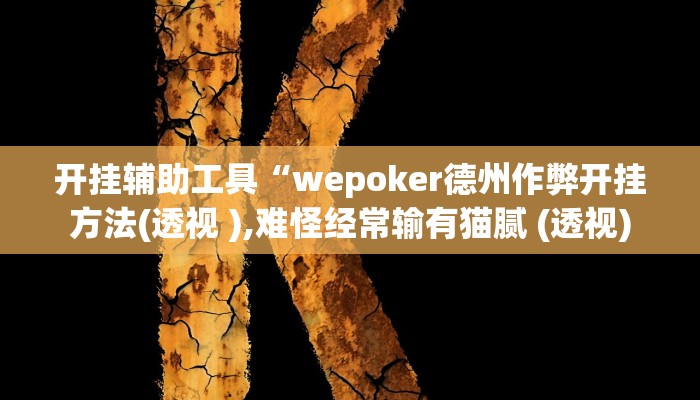 开挂辅助工具“wepoker德州作弊开挂方法(透视 ),难怪经常输有猫腻 (透视) 开挂辅助工具“wepoker德州作弊开挂方法(透视 ),难怪经常输有猫腻 (透视)