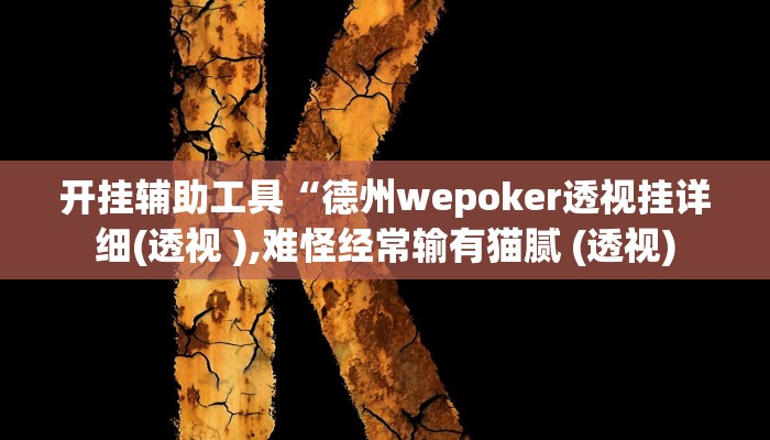 辅助神器“棋缘阁可以开挂吗”开挂详细教程