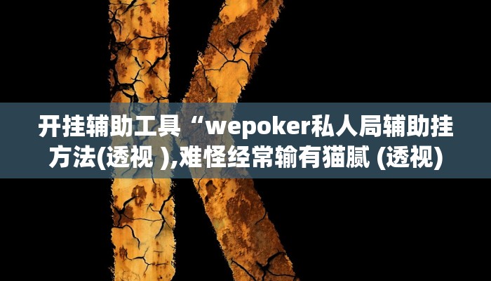 开挂辅助工具“wepoker私人局辅助挂方法(透视 ),难怪经常输有猫腻 (透视)