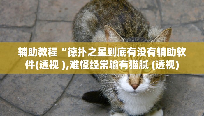 辅助教程“德扑之星到底有没有辅助软件(透视 ),难怪经常输有猫腻 (透视)