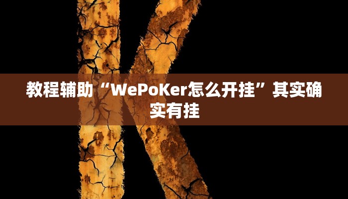 教程辅助“WePoKer怎么开挂”其实确实有挂