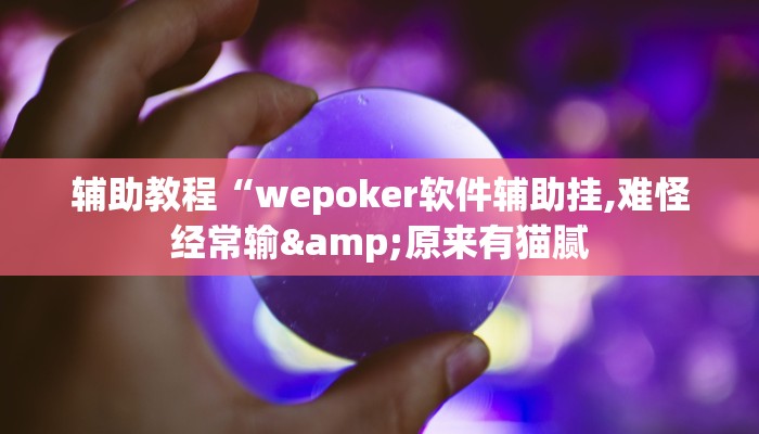 辅助教程“wepoker软件辅助挂,难怪经常输&原来有猫腻