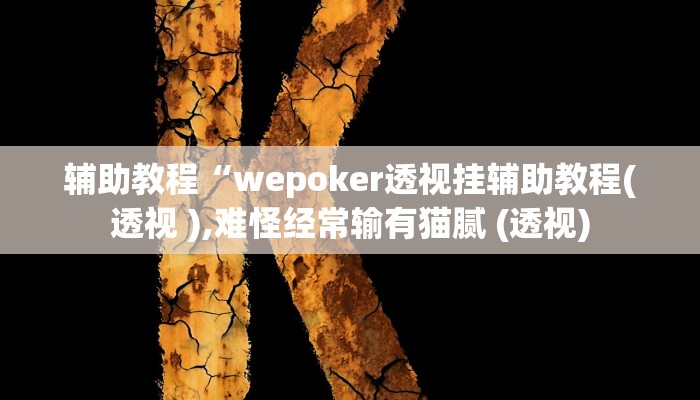 辅助教程“wepoker透视挂辅助教程(透视 ),难怪经常输有猫腻 (透视)