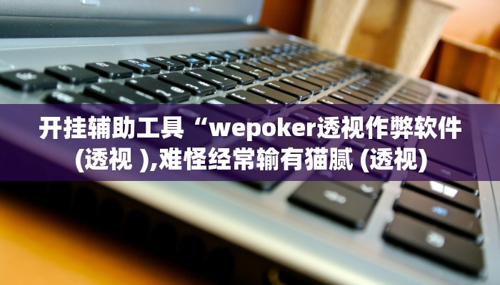 开挂辅助工具“wepoker透视作弊软件(透视 ),难怪经常输有猫腻 (透视)