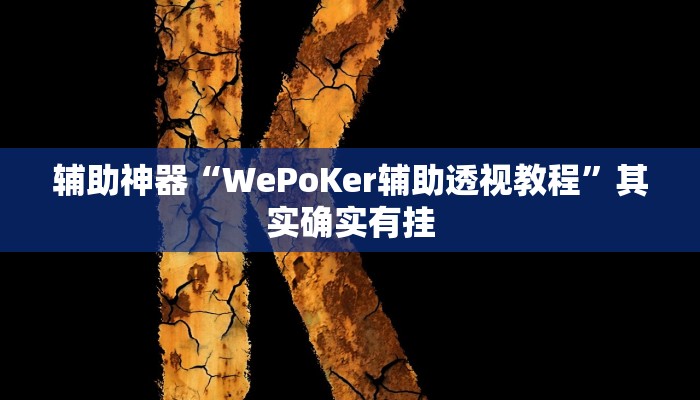 辅助神器“WePoKer辅助透视教程”其实确实有挂