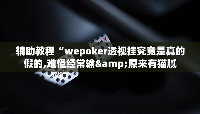 开挂辅助工具“wepoker透视底牌软件,难怪经常输&原来有猫腻