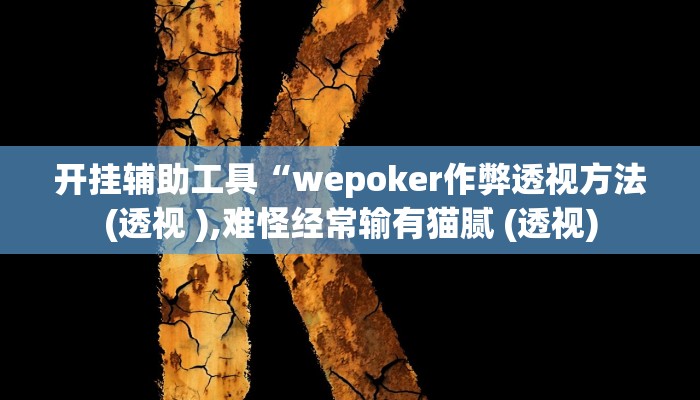 开挂辅助工具“德州局wepoker作弊论坛(透视 ),难怪经常输有猫腻 (透视)