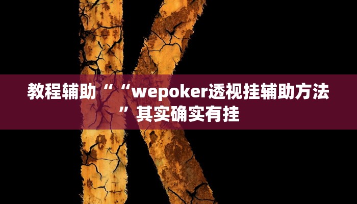 教程辅助““wepoker透视挂辅助方法”其实确实有挂
