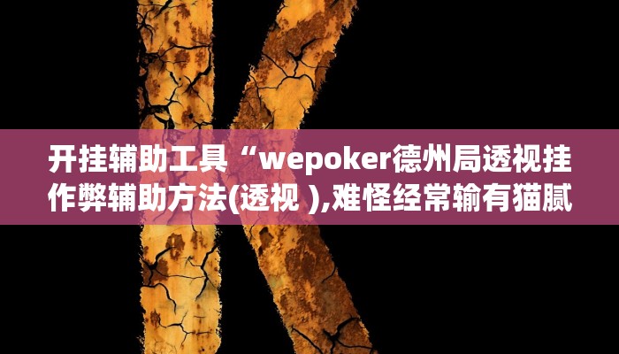 开挂辅助工具“wepoker德州局透视挂作弊辅助方法(透视 ),难怪经常输有猫腻 (透视)
