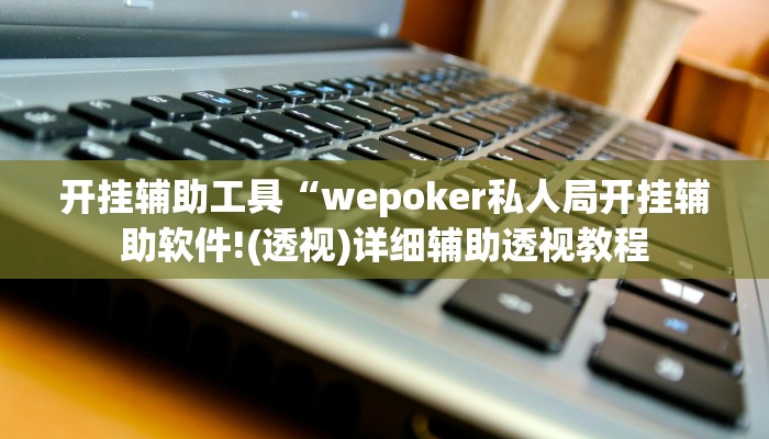 开挂辅助工具“wepoker开挂辅助(作弊)辅助透视教程”