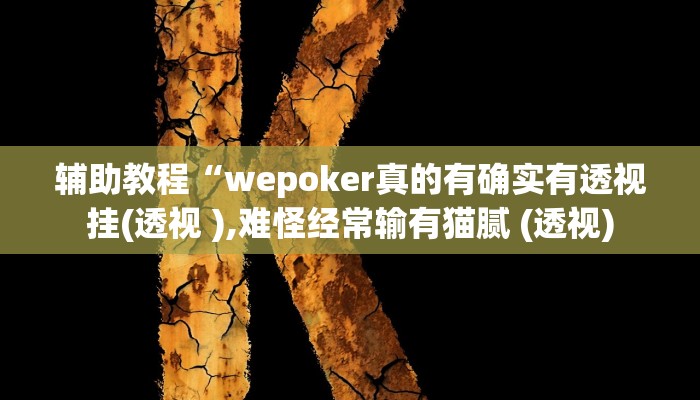 玩家辅助神器:“wepoker轻量版作弊软件透视挂”其实确实有挂