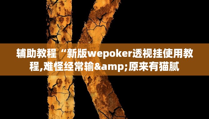 辅助教程“新版wepoker透视挂使用教程,难怪经常输&原来有猫腻