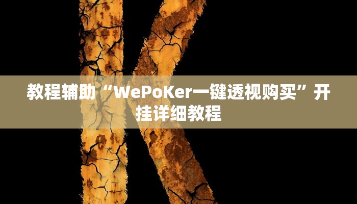 教程辅助“WePoKer一键透视购买”开挂详细教程