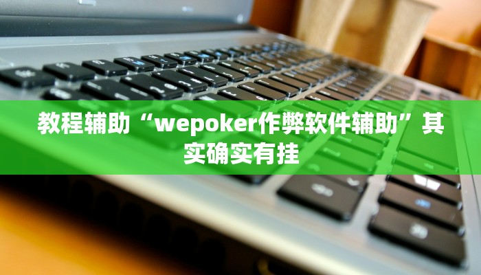 教程辅助“wepoker作弊软件辅助”其实确实有挂