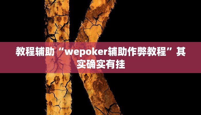 开挂辅助工具“wepoker透视挂软件,难怪经常输&原来有猫腻