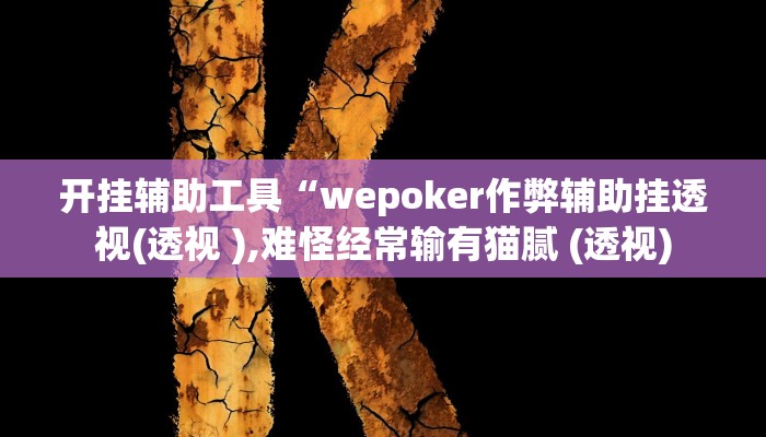 开挂辅助工具“wepoker作弊辅助挂透视(透视 ),难怪经常输有猫腻 (透视)