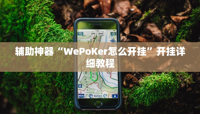 辅助神器“WePoKer怎么开挂”开挂详细教程