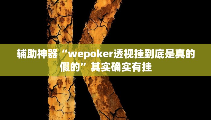 辅助神器“wepoker透视挂到底是真的假的”其实确实有挂