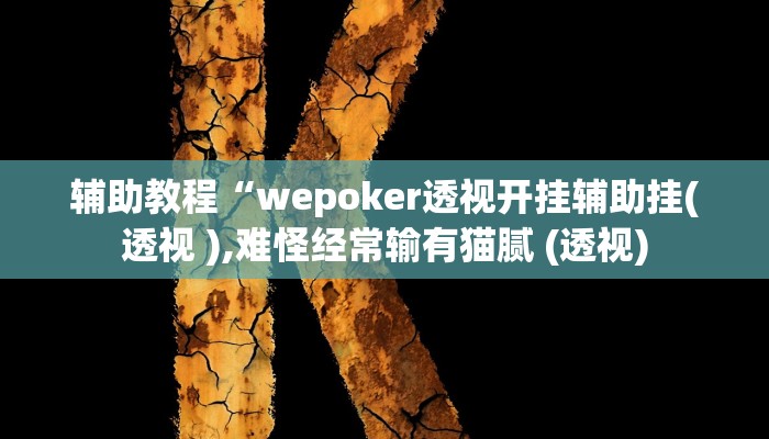 开挂辅助工具“wepoker开挂透视辅助,难怪经常输&原来有猫腻