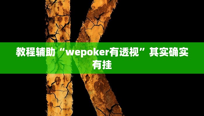 开挂辅助工具“HHpoker透视底牌软件(透视 ),难怪经常输有猫腻 (透视)