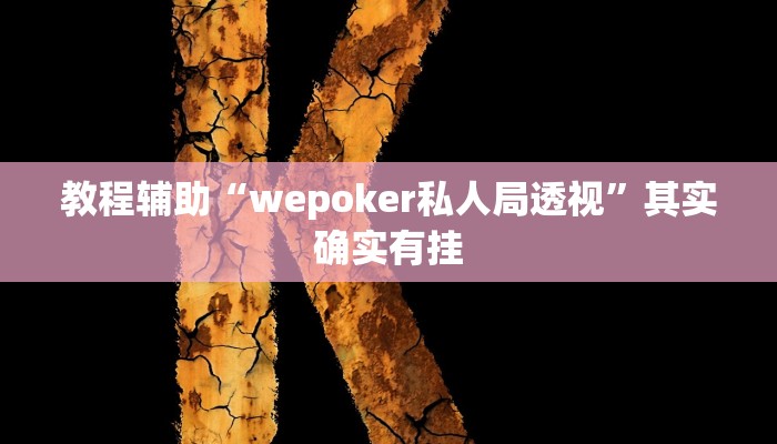 教程辅助“wepoker私人局透视”其实确实有挂