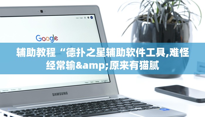 辅助教程“德扑之星辅助软件工具,难怪经常输&原来有猫腻