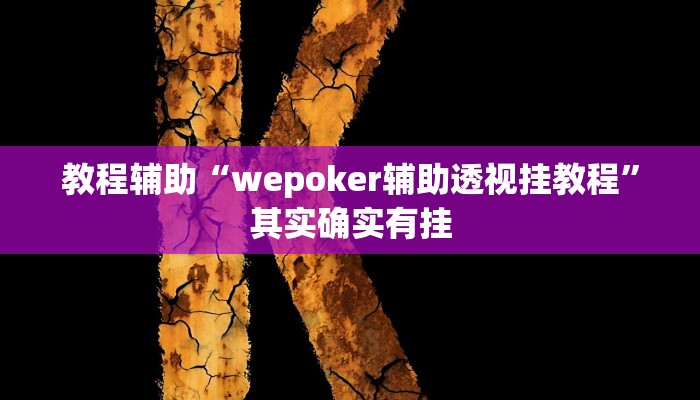 开挂辅助工具“wepoker私人局辅助挂软件(透视 )!详细教程透视方法