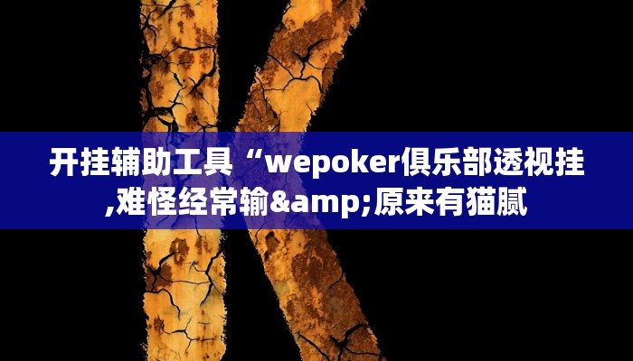 开挂辅助工具“wepoker俱乐部透视挂,难怪经常输&原来有猫腻