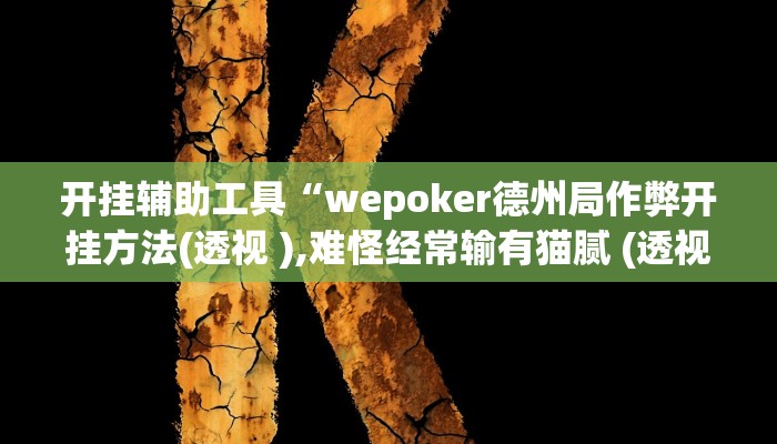 开挂辅助工具“wepoker德州局作弊开挂方法(透视 ),难怪经常输有猫腻 (透视)