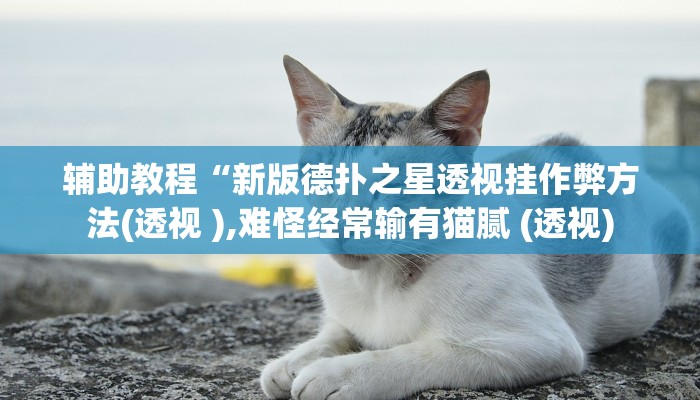 辅助教程“新版德扑之星透视挂作弊方法(透视 ),难怪经常输有猫腻 (透视)