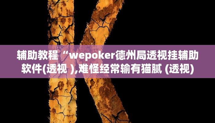 辅助教程“wepoker德州局透视挂辅助软件(透视 ),难怪经常输有猫腻 (透视)