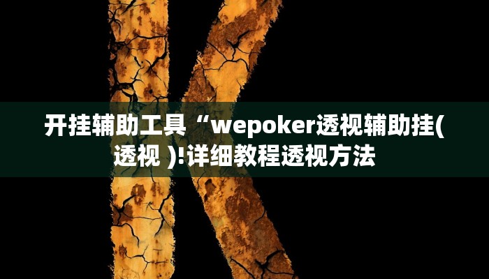 开挂辅助工具“wepoker透视辅助挂(透视 )!详细教程透视方法