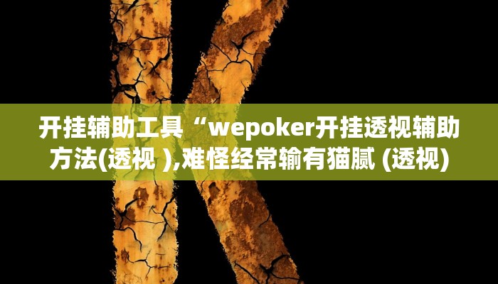 开挂辅助工具“wepoker开挂透视辅助方法(透视 ),难怪经常输有猫腻 (透视)