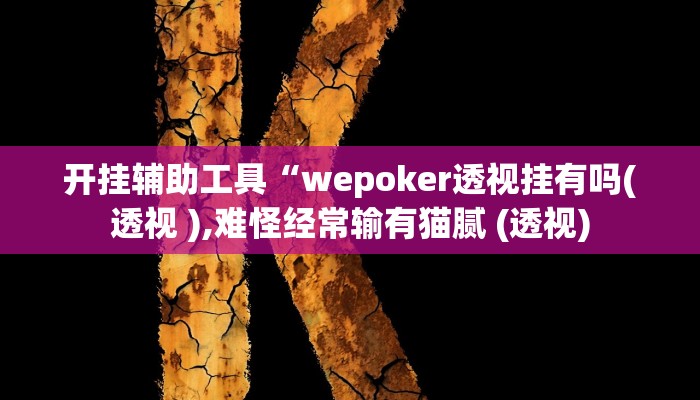 开挂辅助工具“wepoker透视挂有吗(透视 ),难怪经常输有猫腻 (透视)