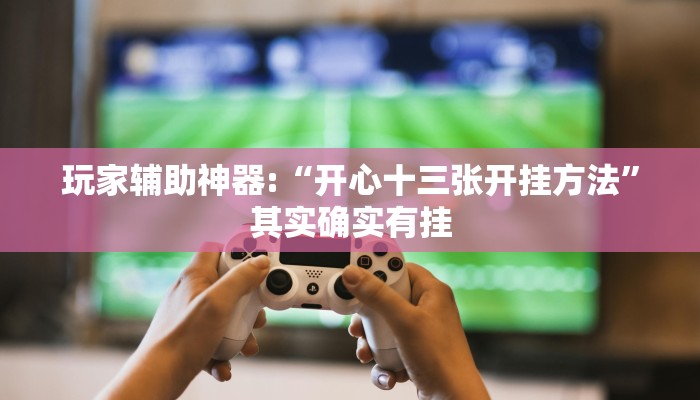 玩家辅助神器:“开心十三张开挂方法”其实确实有挂